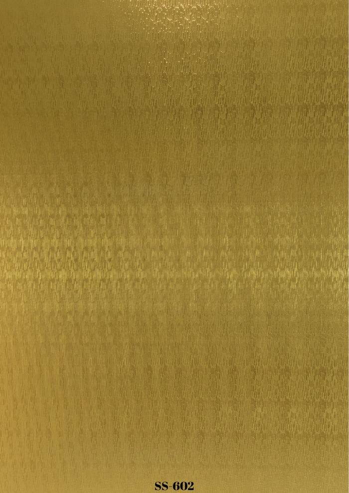 SS-602